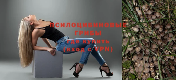 гидропоника Ростов